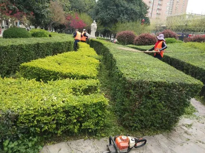 市政绿化工程完工案例分析