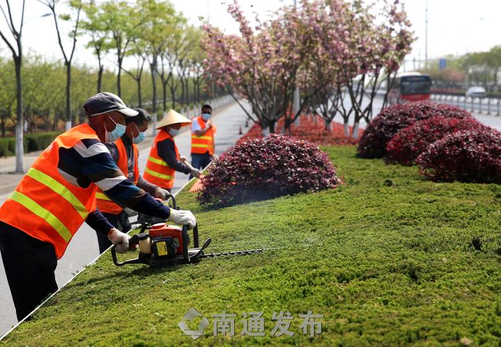 古树名木面临园林管理养护隐忧：传承文化需加强保护力度。