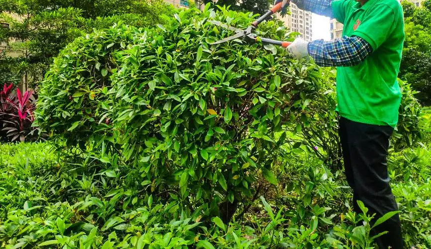 崇明区工厂绿化美化工程
