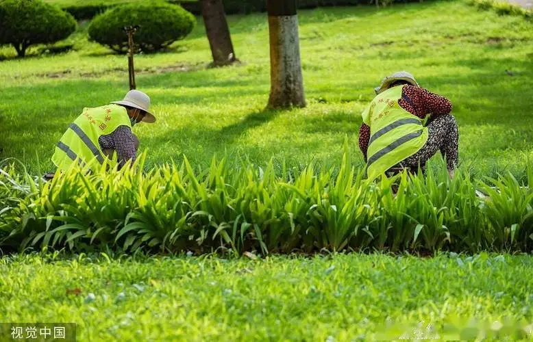 村子园林景观设计经典案例
